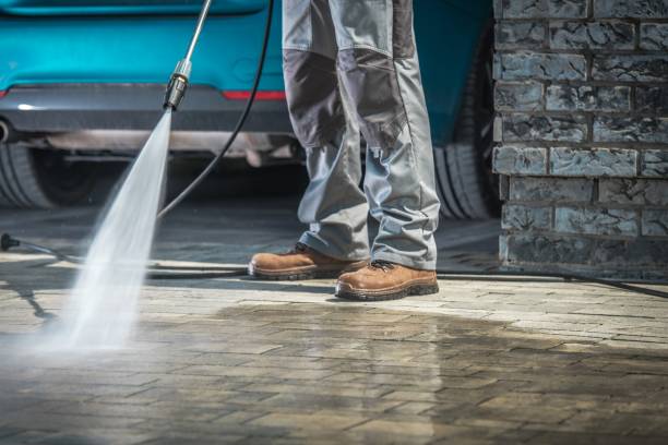 Best Driveway Pressure Washing  in Bay Pines, FL
