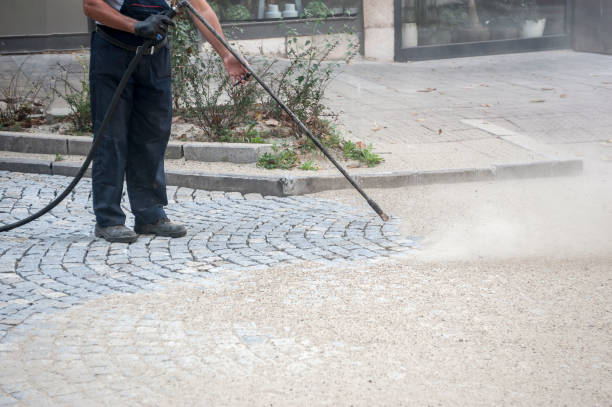 Best Animal Enclosure Cleaning  in Bay Pines, FL